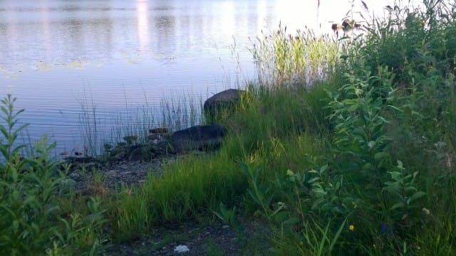 Sisäinen rauha. Tila jonka saavuttamiseen riittää että luovutan luottaen elämään.