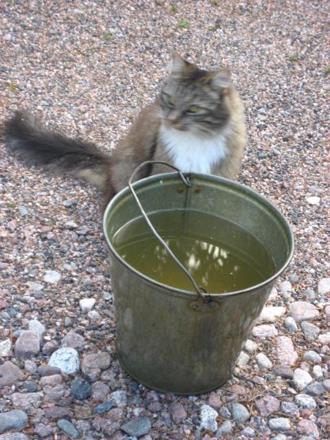 En haluu poseerata vol. 1