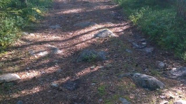 Ymmärrän tarvinneeni kaikki nuo kivet polullani, osatakseni tänään kiertää ne.