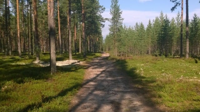 Raittius on polku, joka vie minua kohti parempaa huomista.