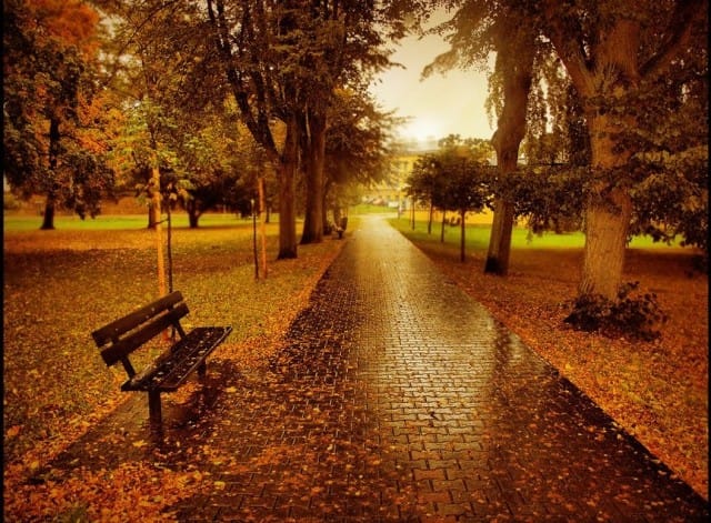 Avoin tie eteenpäin vie.