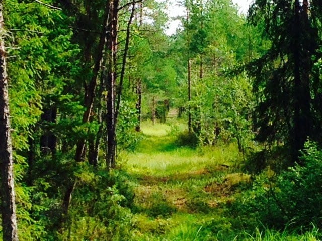 Joskus polku jota tässä hetkessä kuljen, näyttää varsin kauniilta, sisältäen myös omat haasteensa.