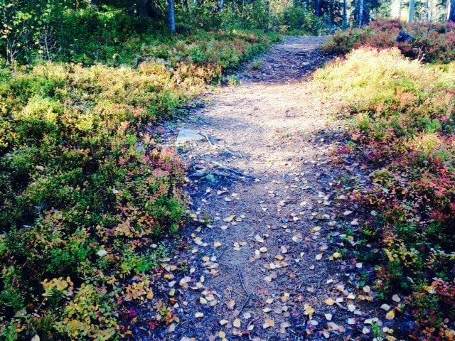 Taas mennään, eikä meinata.