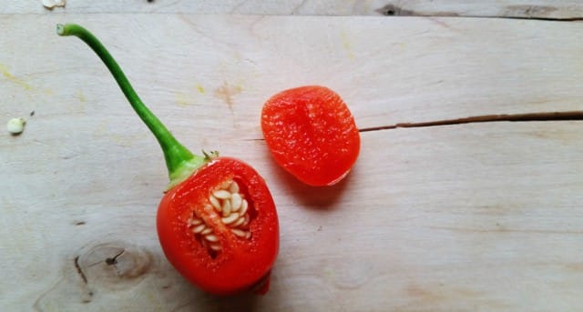 Bufala & Naranga ne yhteen soppii