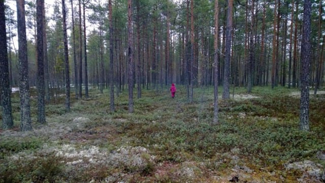 Tällä tiettömällä tiellä..