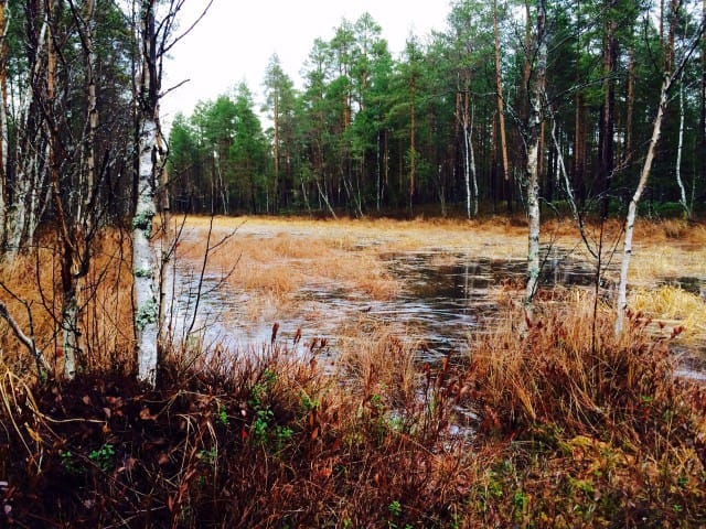 Epätoivosta toivottomuuden kautta kohti toivoa.