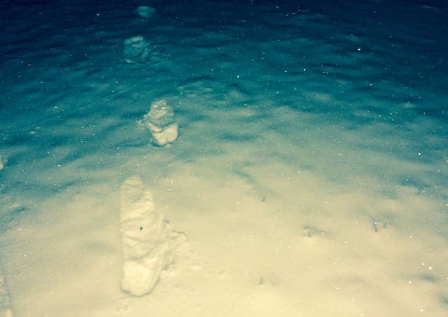 Pysähtyessäni voin havainnoida ympärilläni olevaa kauneutta.