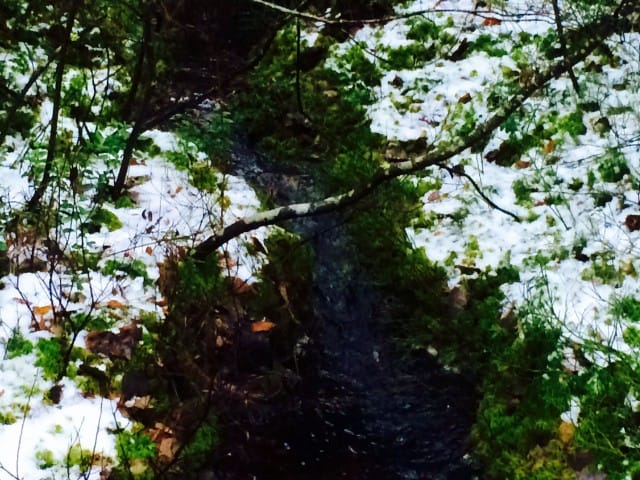 Elämä soljuu eteenpäin kuin metsäpuro.