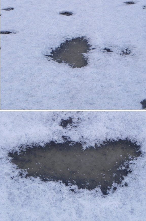 Useinkos kaukaa näyttä tältä: SYDÄN! Lähempää katsoessa sen muoto muuttuu varsin epämääräiseksi.