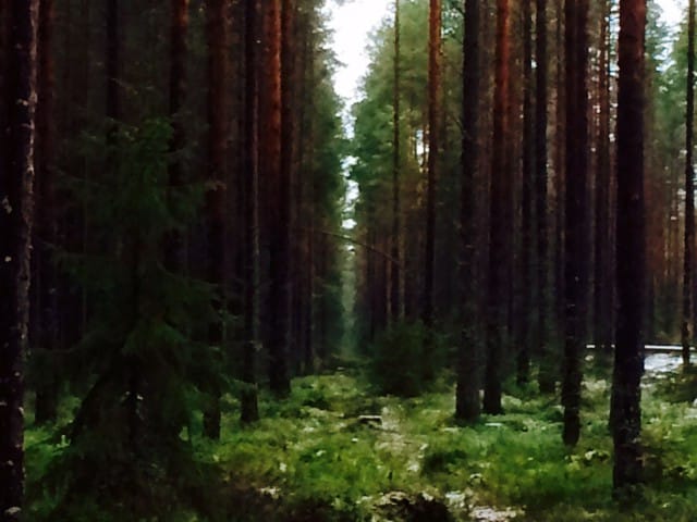 Luonto ei nuku, vaikka kuinka uneliaalta näyttäisikin.