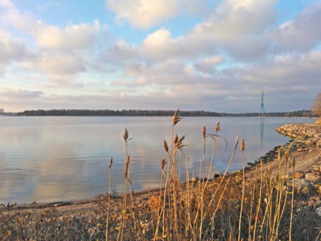 Luonto ruokkii luovuutta