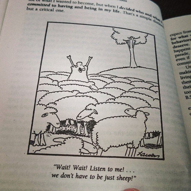 Hei hei hei! Kuunnelkaa! Meidän ei tartte alistua olemaan vain lampaita!