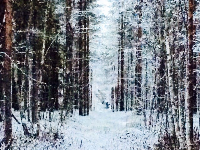 Seisoessani eräällä tavoin taas yhdellä rajapyykillä elämässäni, totean juuri tässä olevan hyvä olla.