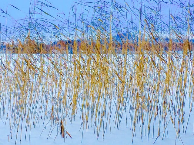 Päihteetön elämä on suonut minulle vapauden elää. Tuntea. Kokea.