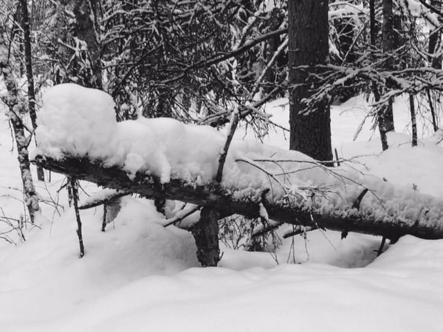 Jokainen meistä voi osaltaan tukea toinen toistaan.