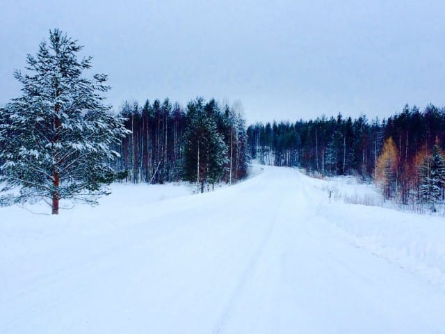 Luonto on kaunis, kuten jokainen meistä.