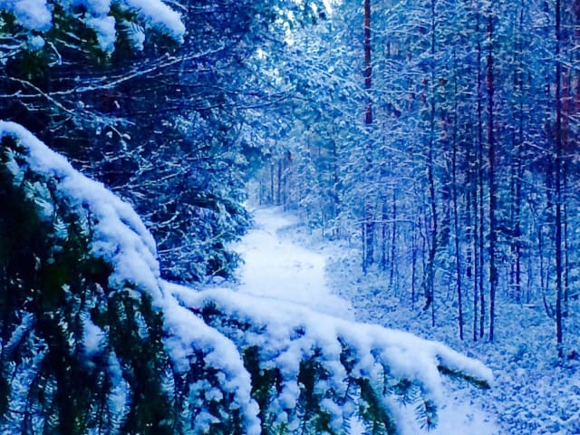 "Tänään en ole yksin" ellen tietoisesti valitse olla.