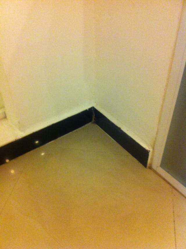 Rudolf. Pahoittelut huonosta kuvasta, mutta tuolla nurkassa se on.