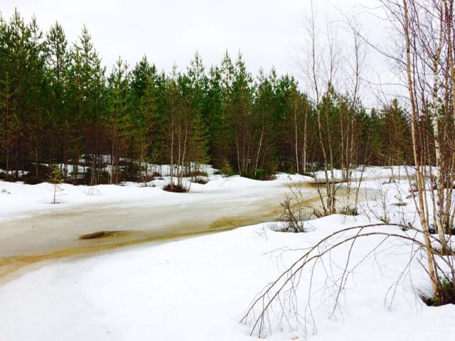 Luonto on täynnä ihmeitä. Miksei siis ihmisen elämäkin.