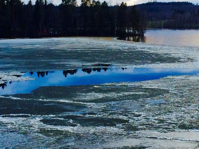 Jäät lähtevät ja elämä jatkuu.