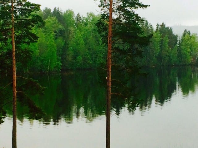 Tyyni järvenpoukama.