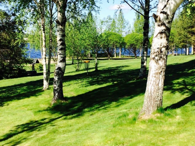 Luonnossa on voimavara, jonka löytää vasta pysähtymisen kautta.