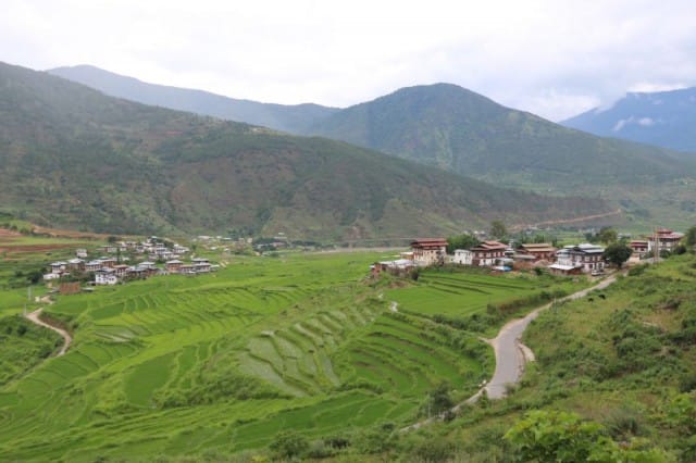 Punakhaa