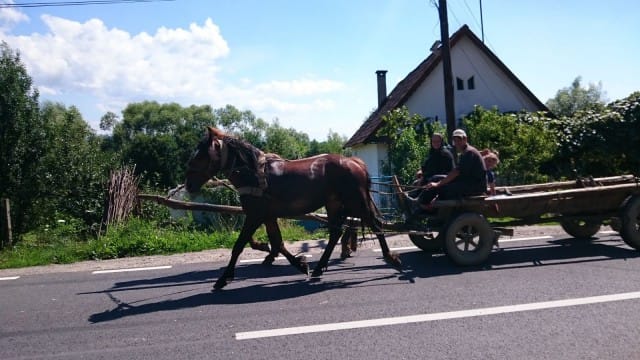 Romaniassam näki silloin tällöin ihmisiä kulkemassa hevosilla pitkin autoteitä. Moottoripyörällä ajaessa piti varoa ettei mutkassa ollut hevosen tai lehmän jättämää liukumiinaa.