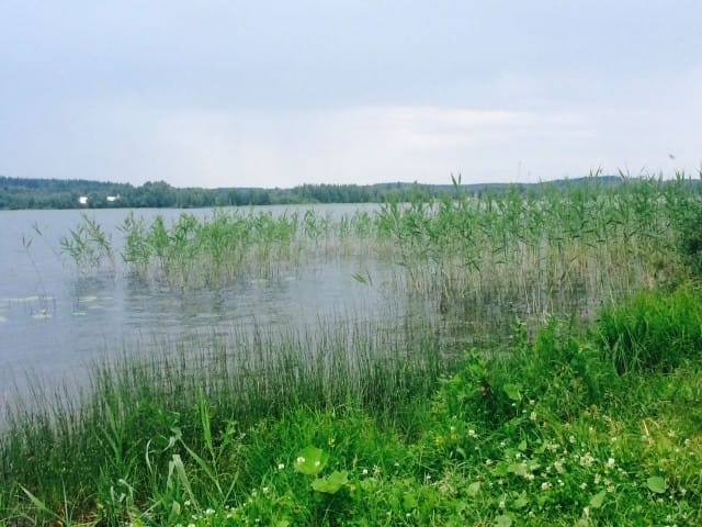 Maailma on kaunis ja hyvä elää sille, jolla on aikaa ja tilaa unelmille ja mielenvapaus.