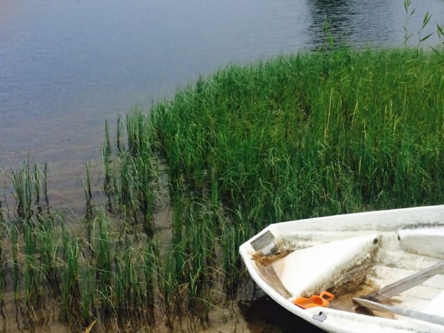 Elämässä, kuten yrittäjyydessäkin voi välillä ajautua karille. Silloin on hyvä tietää ettei ongelmista tarvitse selvitä yksin.