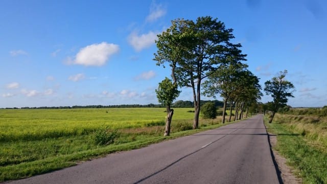 Kaliningradissa päätiet ovat hyvässä kunnossa