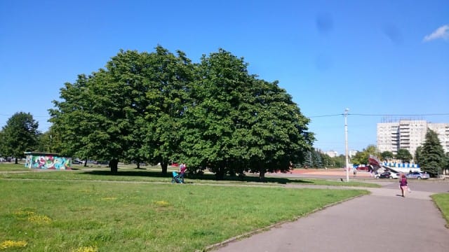 Nainen lohduttaa itkevää lasta. Kaliningrad, Venäjä.