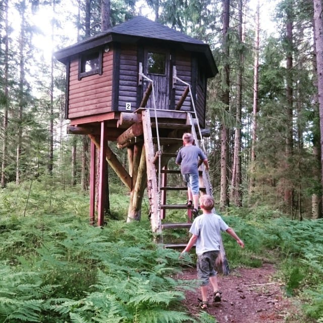 Puumajassa voi nukkua ympäri vuoden. Jopa talvella täällä on nukuttu.