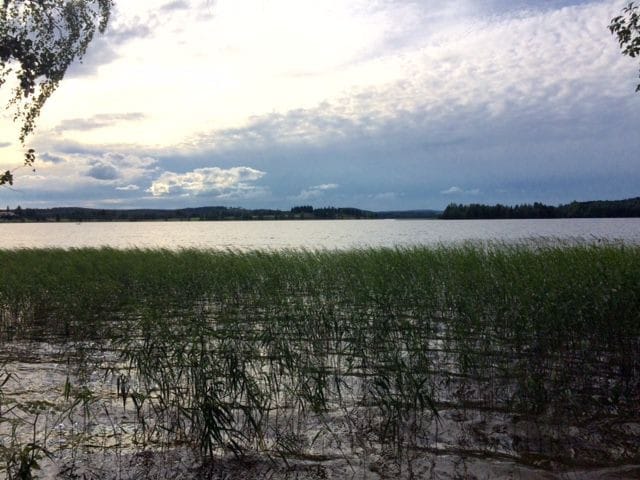 Kaislikko kuiskii kaipausta.