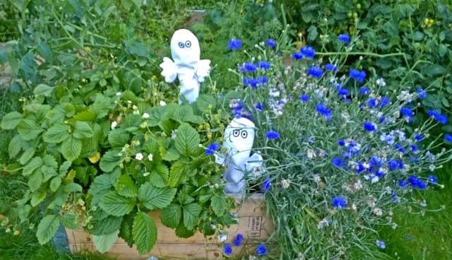 Haamuja on monenlaisia, myös haamukommentoijia.