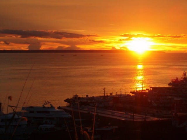 Rio Negro (Black River) - Amazonas