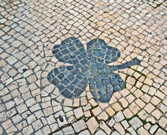 Neliapilan nähtyään saa toivoa