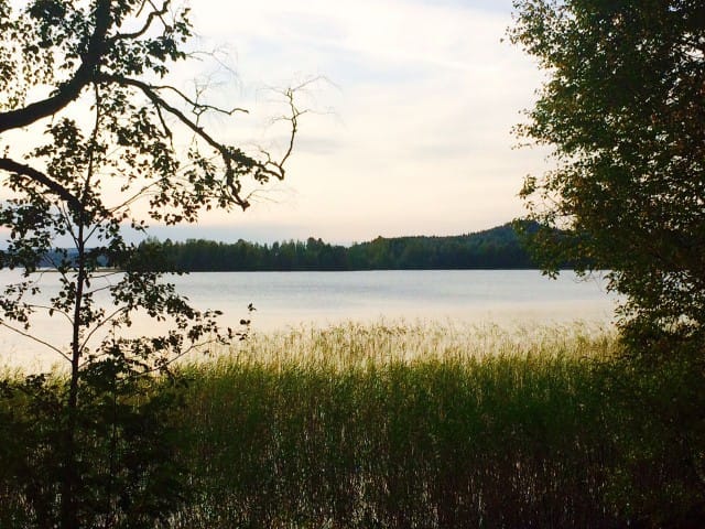 Elämä näyttäytyy juuri niin kauniina, kuin millaisella mielentilalla sitä tarkastelen.