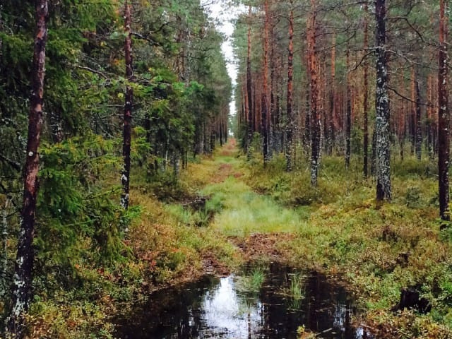 Elämän ei tarvitse olla selviytymistaistelu.