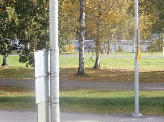 Jalostettuja puunrunkoja rauduskoivuilla?