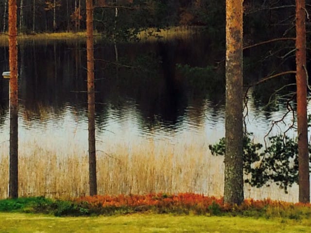 Asioilla on tarkoituksensa. Joskus tarkoitus selviää vasta pitkän ajan kuluttua.