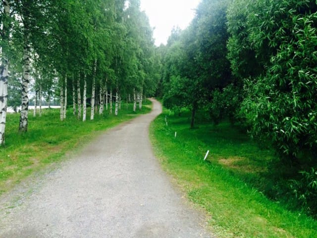 Lenkkipolulta.