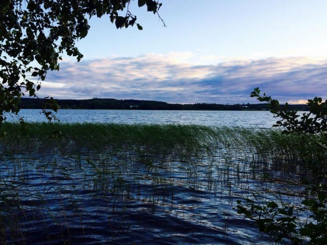 Peurunkajärven rannalta löytyy rauhoittava maisema.