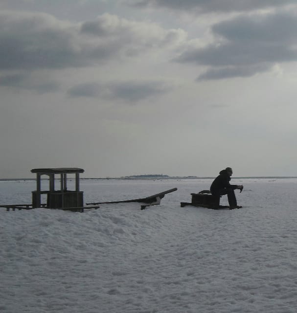 "Haaksirikko", 2013