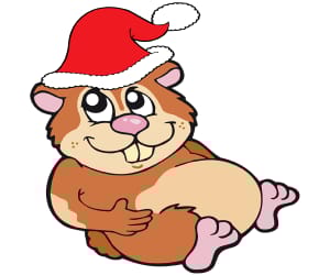 Jouluinen hamsteri (Kuva Googlesta.)