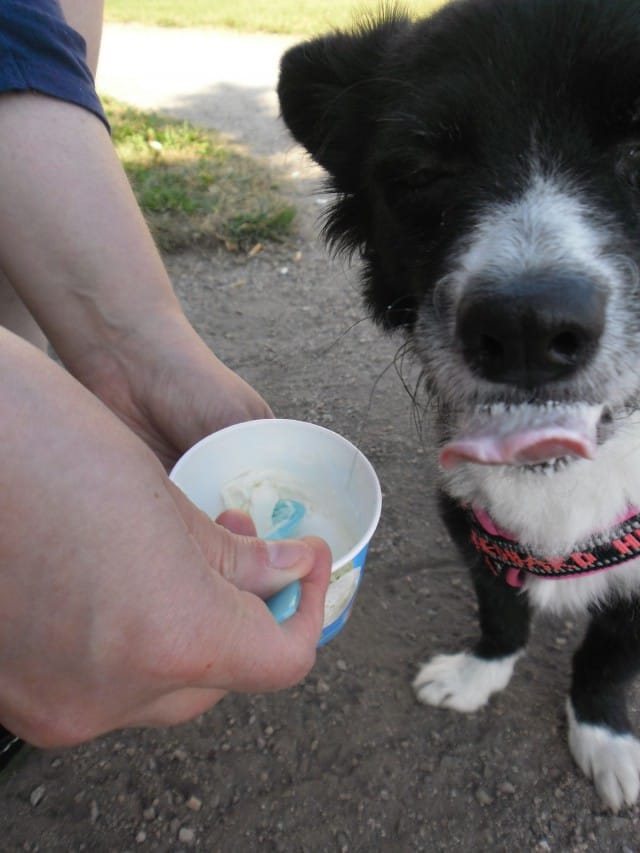 Koska syöntikuvathan ovat aina sulokkaita.