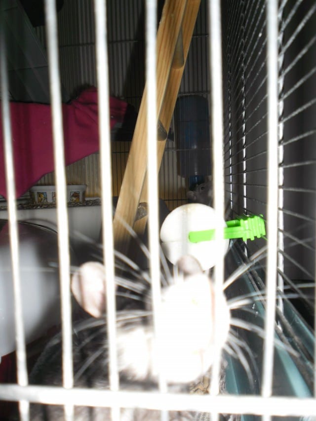 Siinähän se oleellinen onkin.