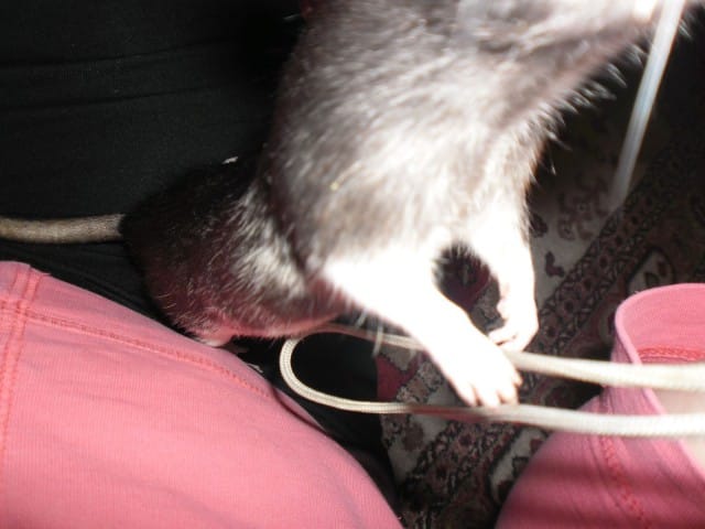 "Mikä tämä tällainen vehje on mistä tulee noin kirkas valo?"