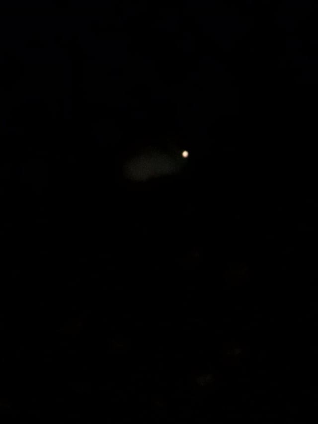 Albiinokani pimeässä. Hieno kuva, eikös?