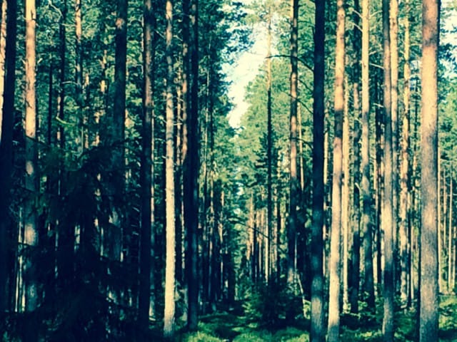 Kaksi erilaista voi olla lopulta yllättävän samankaltaisia